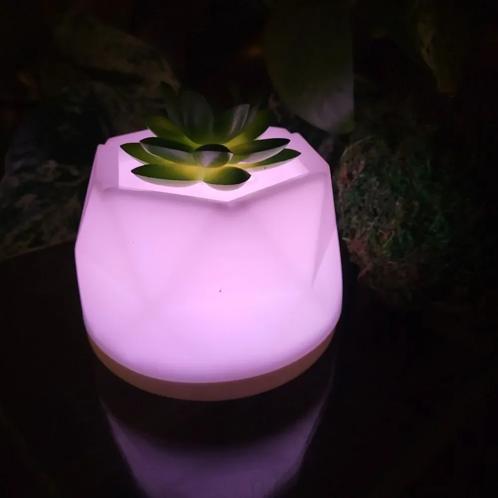Succulent Color-Changing Night Light Lamp Waterless Essential Oil Diffuser Aroma
